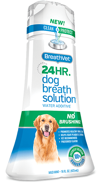 Best dog best sale breath water additive